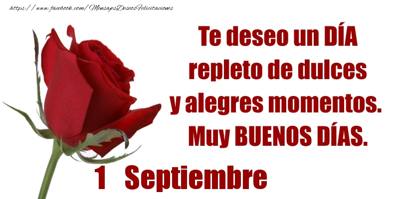 Felicitaciones para 1 Septiembre - Te deseo un DÍA repleto de dulces y alegres momentos.  Muy BUENOS DÍAS.