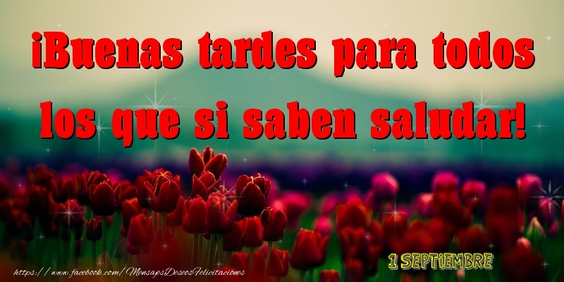 Felicitaciones para 1 Septiembre - 1 Septiembre - Buenas tardes