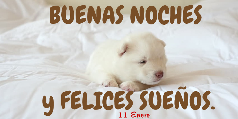 Felicitaciones para 11 Enero - 11 Enero - Buenas noches!