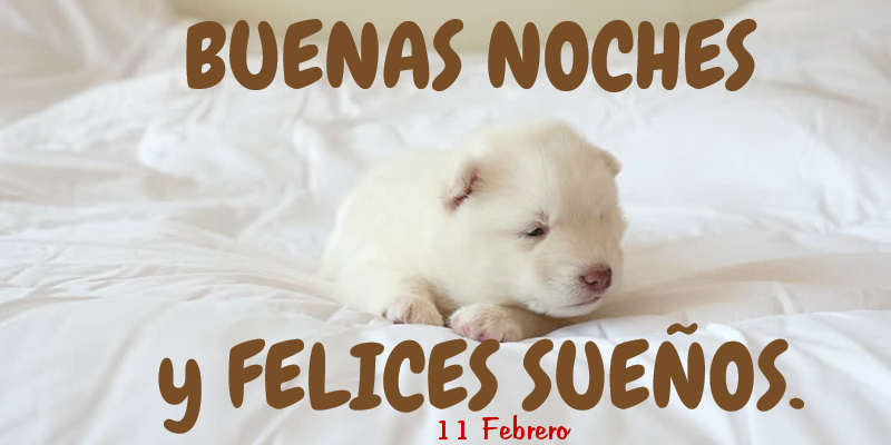 Felicitaciones para 11 Febrero - 11 Febrero - Buenas noches!