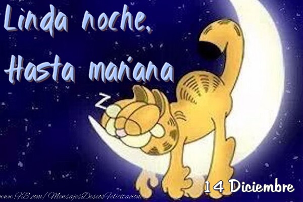 14 Diciembre - Linda noche, Hasta mañana