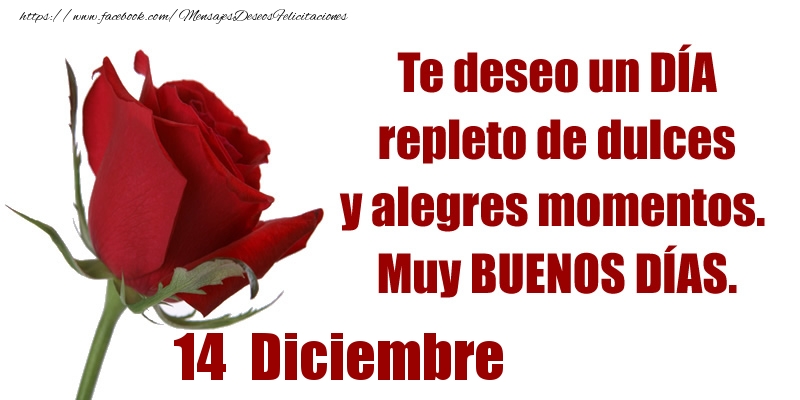 Felicitaciones para 14 Diciembre - Te deseo un DÍA repleto de dulces y alegres momentos.  Muy BUENOS DÍAS.