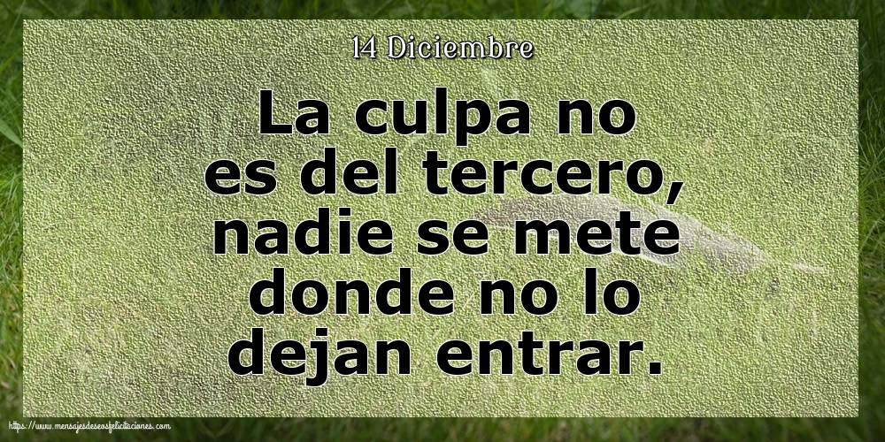 Felicitaciones para 14 Diciembre - 14 Diciembre - La culpa no es del tercero