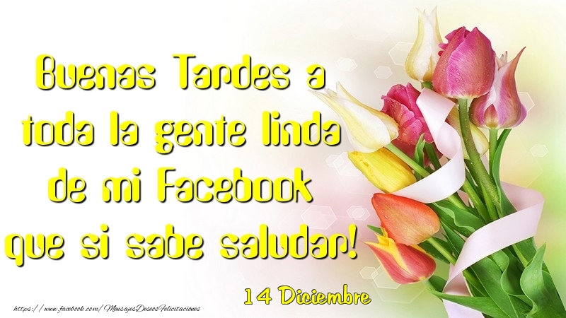 Felicitaciones para 14 Diciembre - 14 Diciembre - Buenas Tardes a toda la gente linda de mi Faceboo