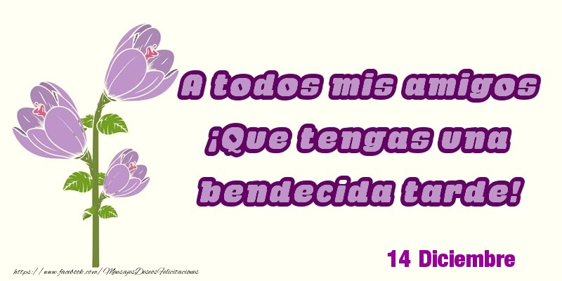 Felicitaciones para 14 Diciembre - 14 Diciembre - A todos mis amigos ¡Que tengas una bendecida tarde!