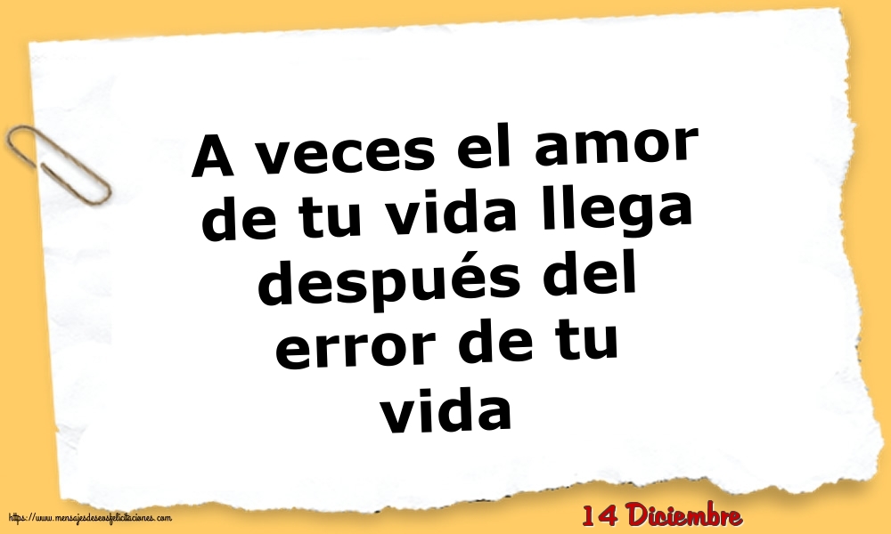 14 Diciembre - A veces el amor de tu vida