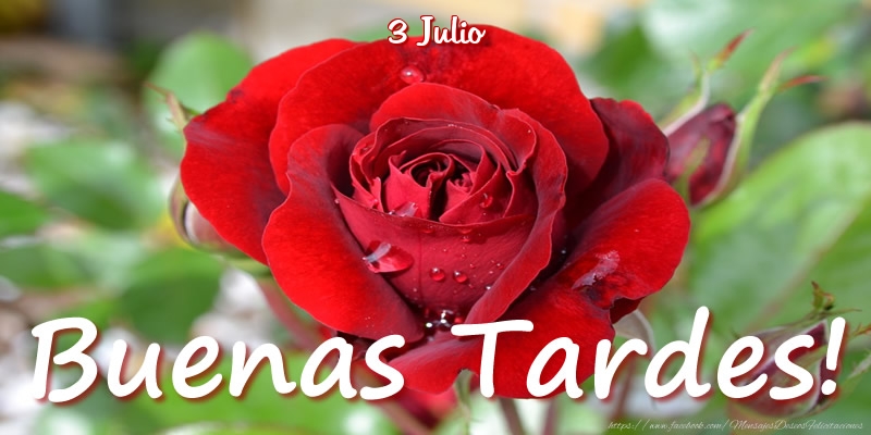 Felicitaciones para 3 Julio - 3 Julio - Buenas Tardes!