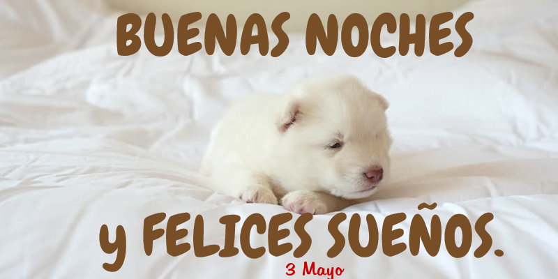Felicitaciones para 3 Mayo - 3 Mayo - Buenas noches!