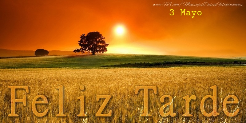 Felicitaciones para 3 Mayo - 3 Mayo - Feliz Tarde