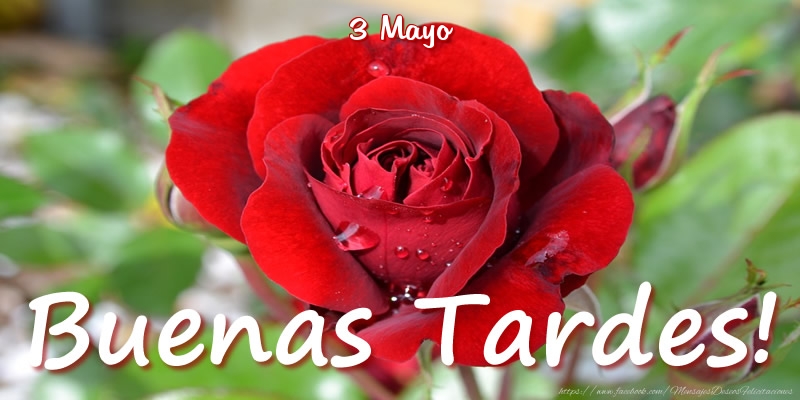 Felicitaciones para 3 Mayo - 3 Mayo - Buenas Tardes!