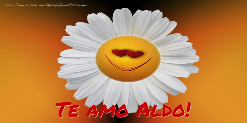 Felicitaciones de amor - Flores | Te amo Aldo!