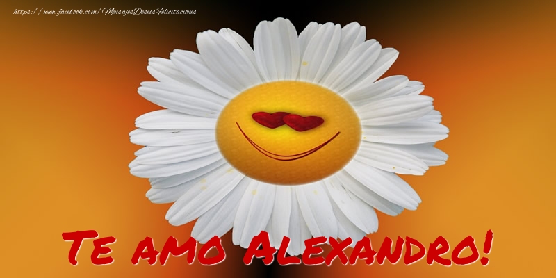 Felicitaciones de amor - Flores | Te amo Alexandro!