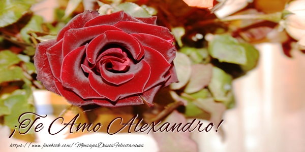Felicitaciones de amor - Rosas | ¡Te Amo Alexandro!