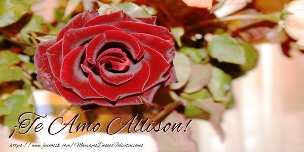 Felicitaciones de amor - Rosas | ¡Te Amo Allison!