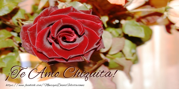 Felicitaciones de amor - Rosas | ¡Te Amo Chiquita!