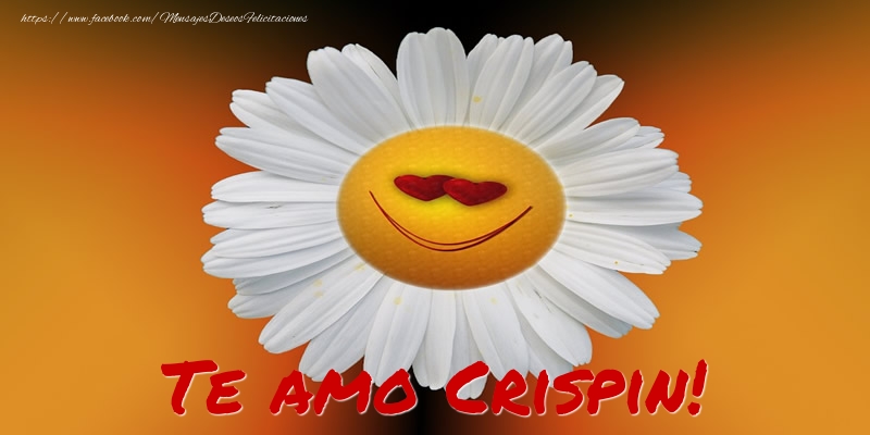 Felicitaciones de amor - Flores | Te amo Crispin!