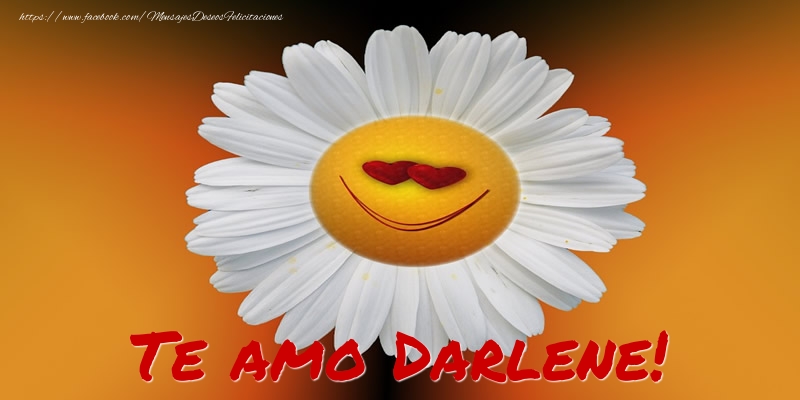 Felicitaciones de amor - Flores | Te amo Darlene!