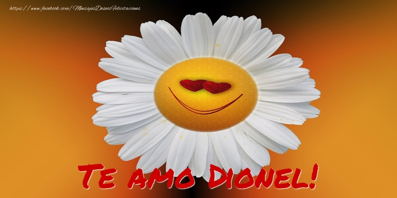 Felicitaciones de amor - Flores | Te amo Dionel!