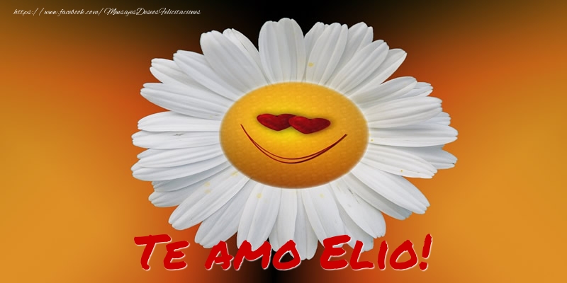 Felicitaciones de amor - Flores | Te amo Elio!
