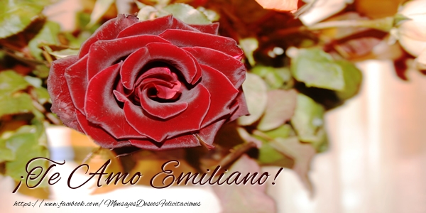 Felicitaciones de amor - Rosas | ¡Te Amo Emiliano!