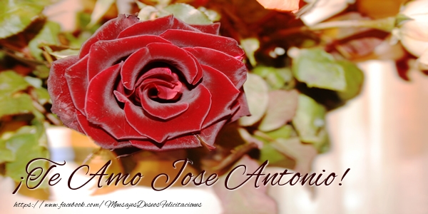 Felicitaciones de amor - Rosas | ¡Te Amo Jose Antonio!