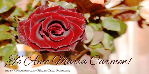  Felicitaciones de amor - Rosas | ¡Te Amo Maria Carmen!
