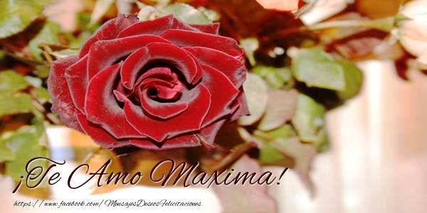 Felicitaciones de amor - Rosas | ¡Te Amo Maxima!