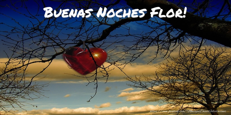 Felicitaciones de buenas noches - Buenas Noches Flor!
