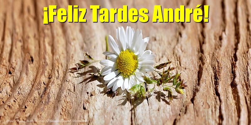 Felicitaciones de buenas tardes - ¡Feliz Tardes André!