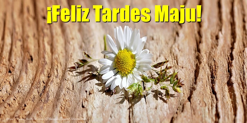  Felicitaciones de buenas tardes - Flores | ¡Feliz Tardes Maju!