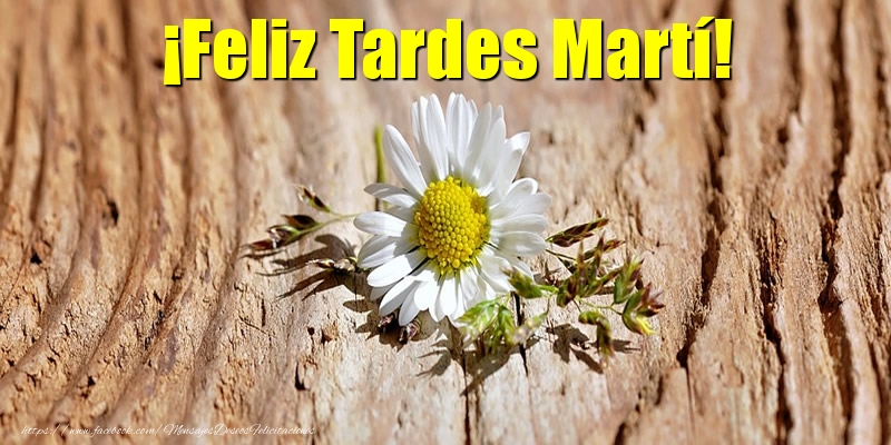 Felicitaciones de buenas tardes - Flores | ¡Feliz Tardes Martí!