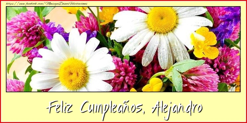 Felicitaciones de cumpleaños - Flores | Feliz cumpleaños, Alejandro