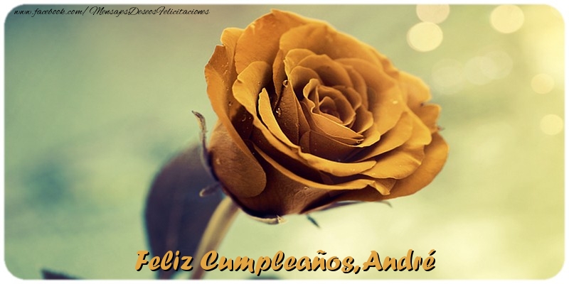 Felicitaciones de cumpleaños - Feliz Cumpleaños, André