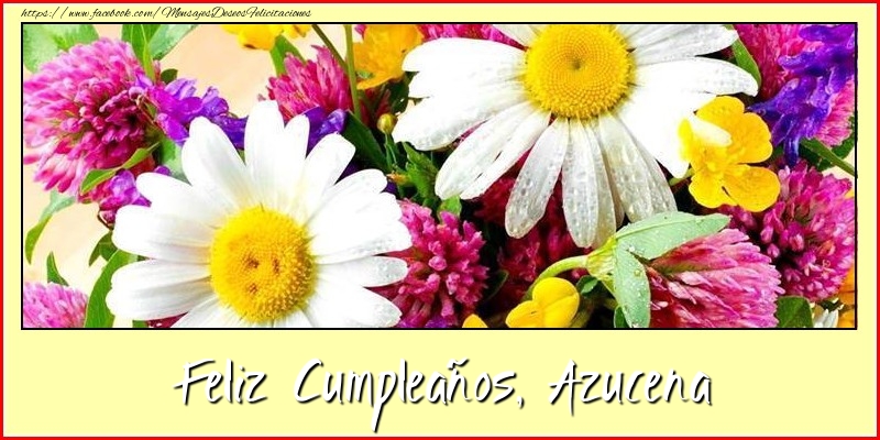 Felicitaciones de cumpleaños - Feliz cumpleaños, Azucena