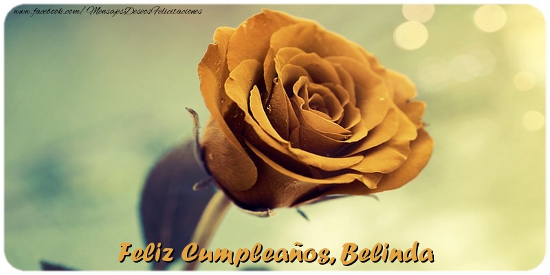 Felicitaciones de cumpleaños - Rosas | Feliz Cumpleaños, Belinda