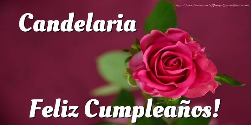 Felicitaciones de cumpleaños - Rosas | Candelaria Feliz Cumpleaños!