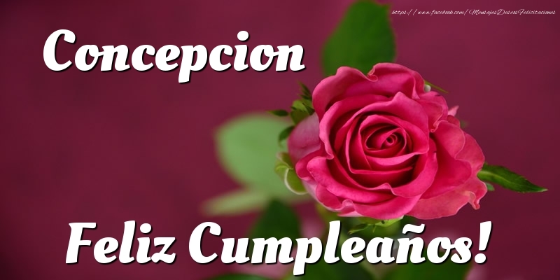 Felicitaciones de cumpleaños - Rosas | Concepcion Feliz Cumpleaños!