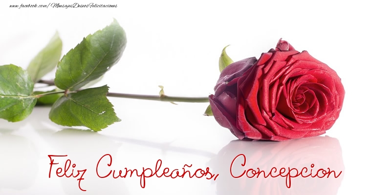 Felicitaciones de cumpleaños - Felicidades, Concepcion!