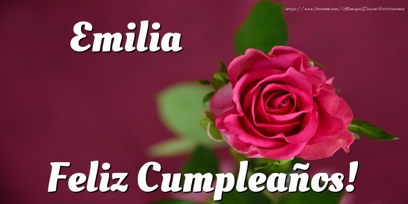 Felicitaciones de cumpleaños - Rosas | Emilia Feliz Cumpleaños!