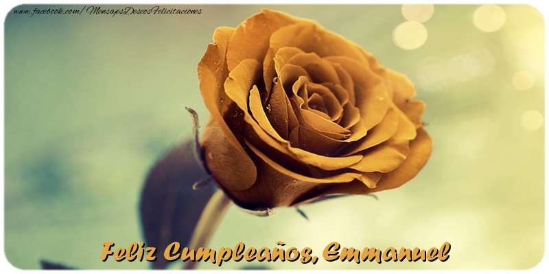 Felicitaciones de cumpleaños - Rosas | Feliz Cumpleaños, Emmanuel