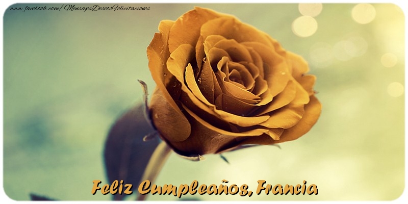  Felicitaciones de cumpleaños - Rosas | Feliz Cumpleaños, Francia
