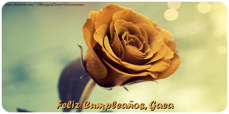 Felicitaciones de cumpleaños - Rosas | Feliz Cumpleaños, Gaea