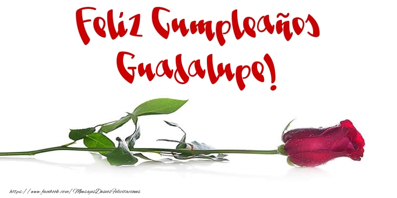 Felicitaciones de cumpleaños - Flores & Rosas | Feliz Cumpleaños Guadalupe!