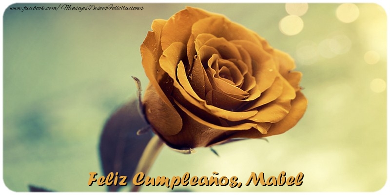  Felicitaciones de cumpleaños - Rosas | Feliz Cumpleaños, Mabel