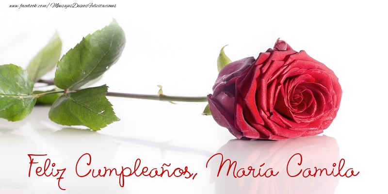 Felicitaciones de cumpleaños - Rosas | Felicidades, María Camila!