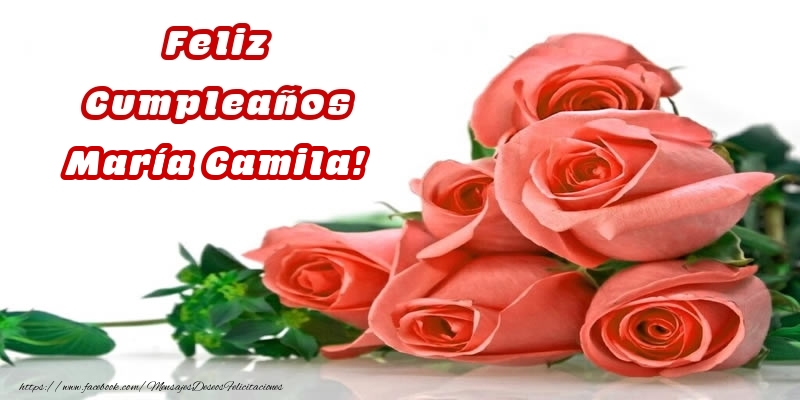 Felicitaciones de cumpleaños -  Feliz Cumpleaños María Camila! - Rosas