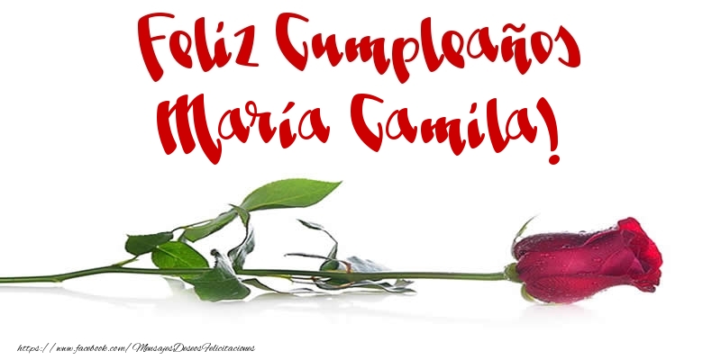 Felicitaciones de cumpleaños - Feliz Cumpleaños María Camila!
