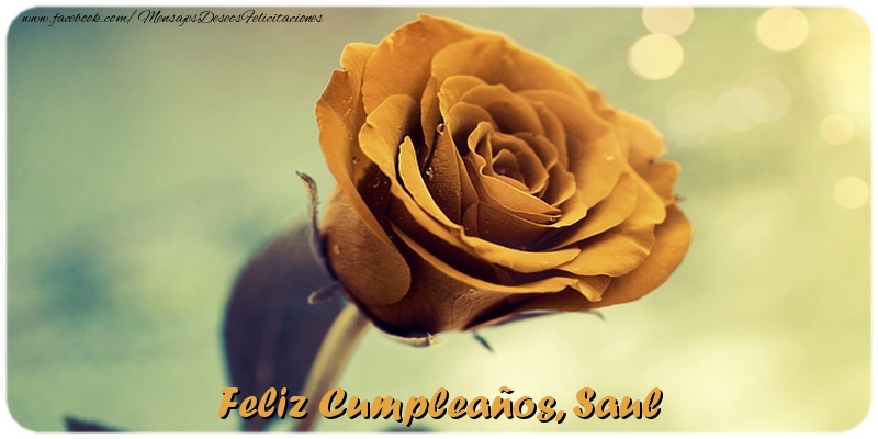 Felicitaciones de cumpleaños - Rosas | Feliz Cumpleaños, Saul
