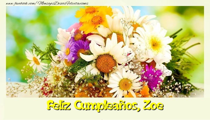 Felicitaciones de cumpleaños - Flores | Feliz Cumpleaños, Zoe