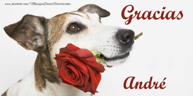 Felicitaciones de gracias - Gracias André